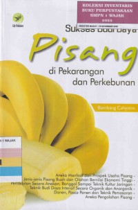 Image of SUKSES BUDI DAYA PISANG DI PEKARANGAN DAN PERKEBUNAN